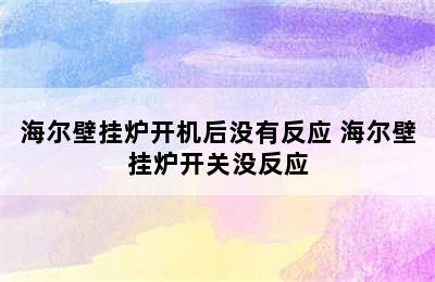 海尔壁挂炉开机后没有反应 海尔壁挂炉开关没反应